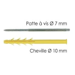 Sachet De 10 Pattes à Vis Longues + Chevilles